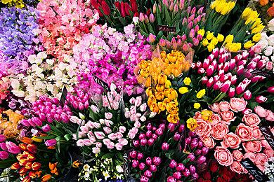 《仁王3》TGS 2025官方直播完整回放 五大看点解析